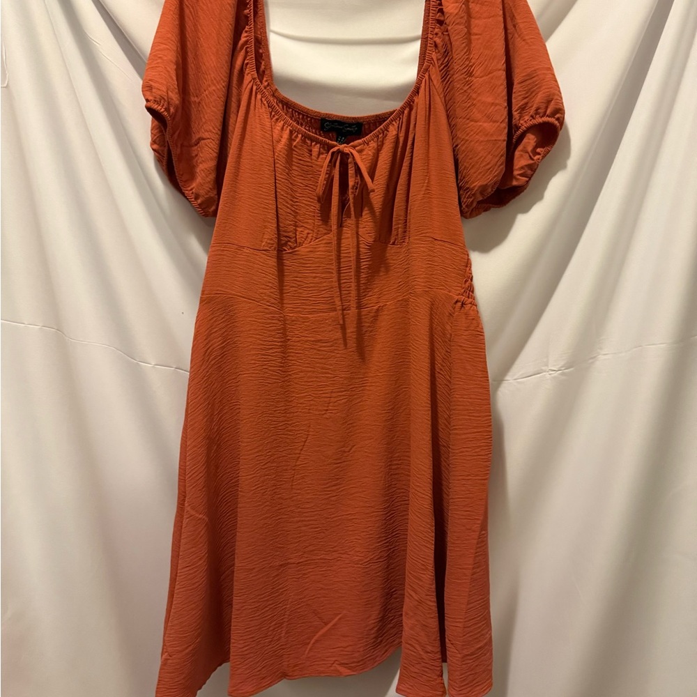 Streetwear Society Terracotta Puff Sleeve Dress